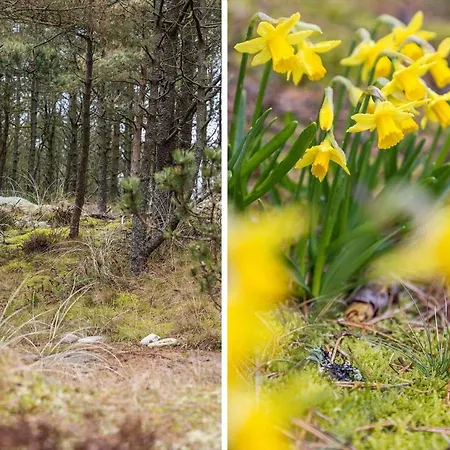 873-thisted-blamunkevej-67