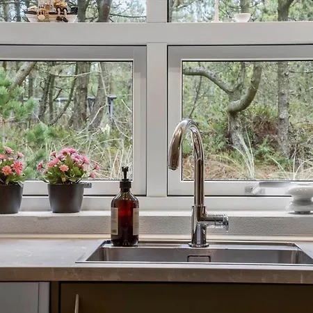 Casa vacanze 873-thisted-blamunkevej-67 *