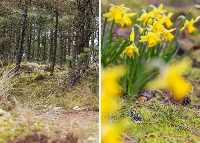 873-thisted-blamunkevej-67 別荘